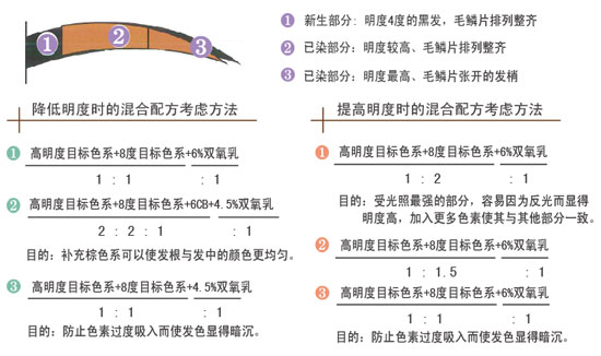 染发的成败取决于染剂配方