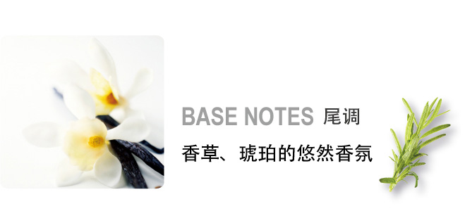 BASE NOTES 尾调 香草、琥珀的悠然香氛